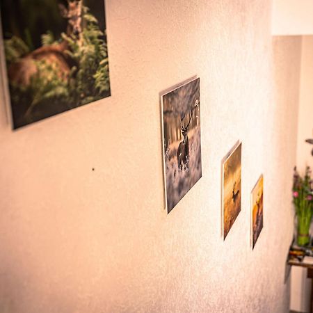 Gasthof Schneiderwirt, Kipfenberg Ot Hirnstetten Exteriör bild